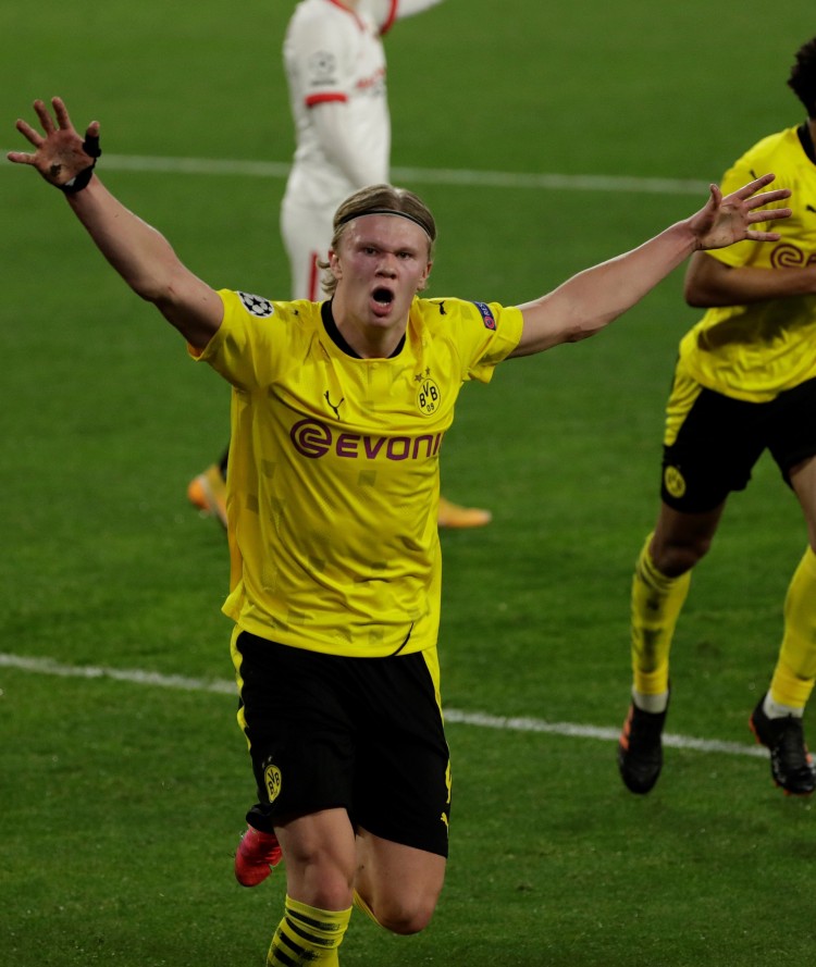 该用什么白 该用什么白