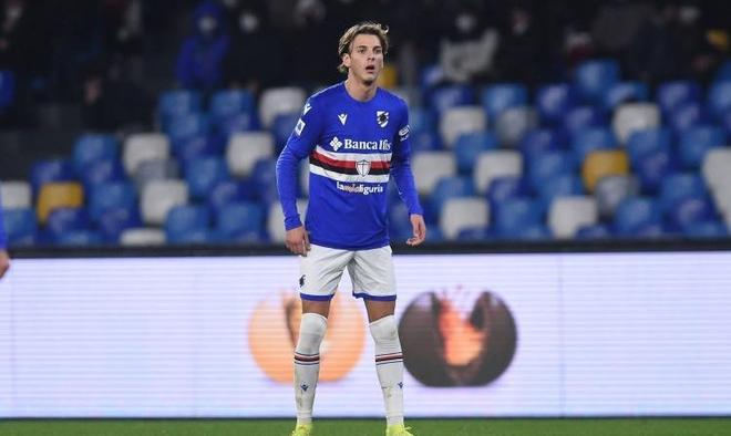 分配多样性 分配多样性